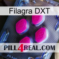 Filagra DXT 02